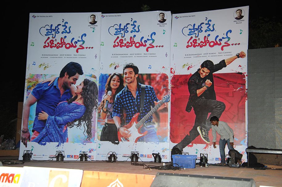 Pyaar-Mein-Padipoyane-Audio-Launch